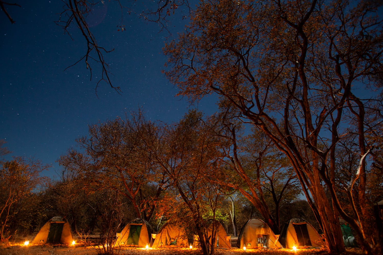 Camping in Africa under stars on group tour