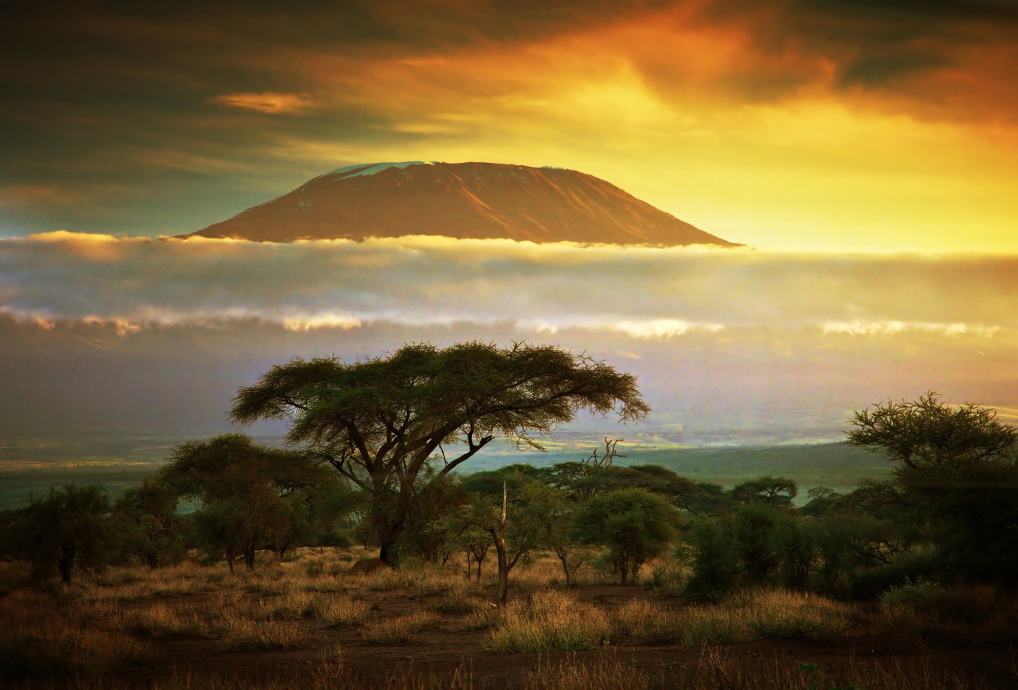 Climb Mt Kilimanjaro - Lemosho Route