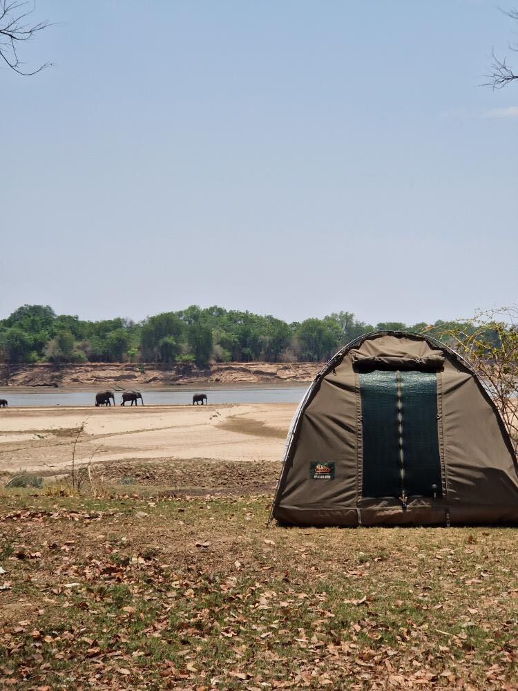 Tent on campsite in Africa