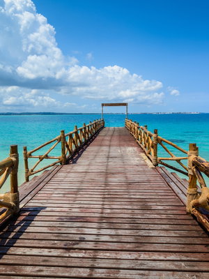 Tanzania & Zanzibar Adventure