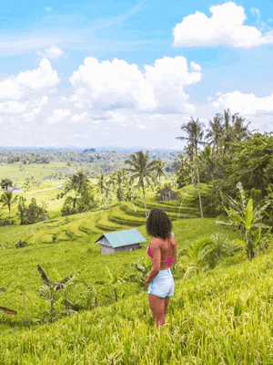 Bali Intro Plus