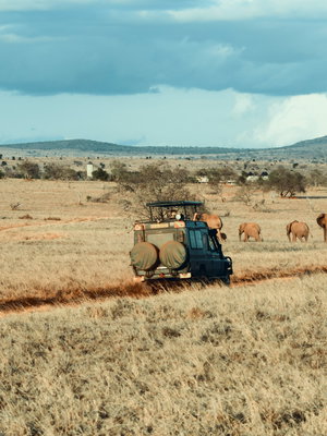 Highlights of Southern Africa