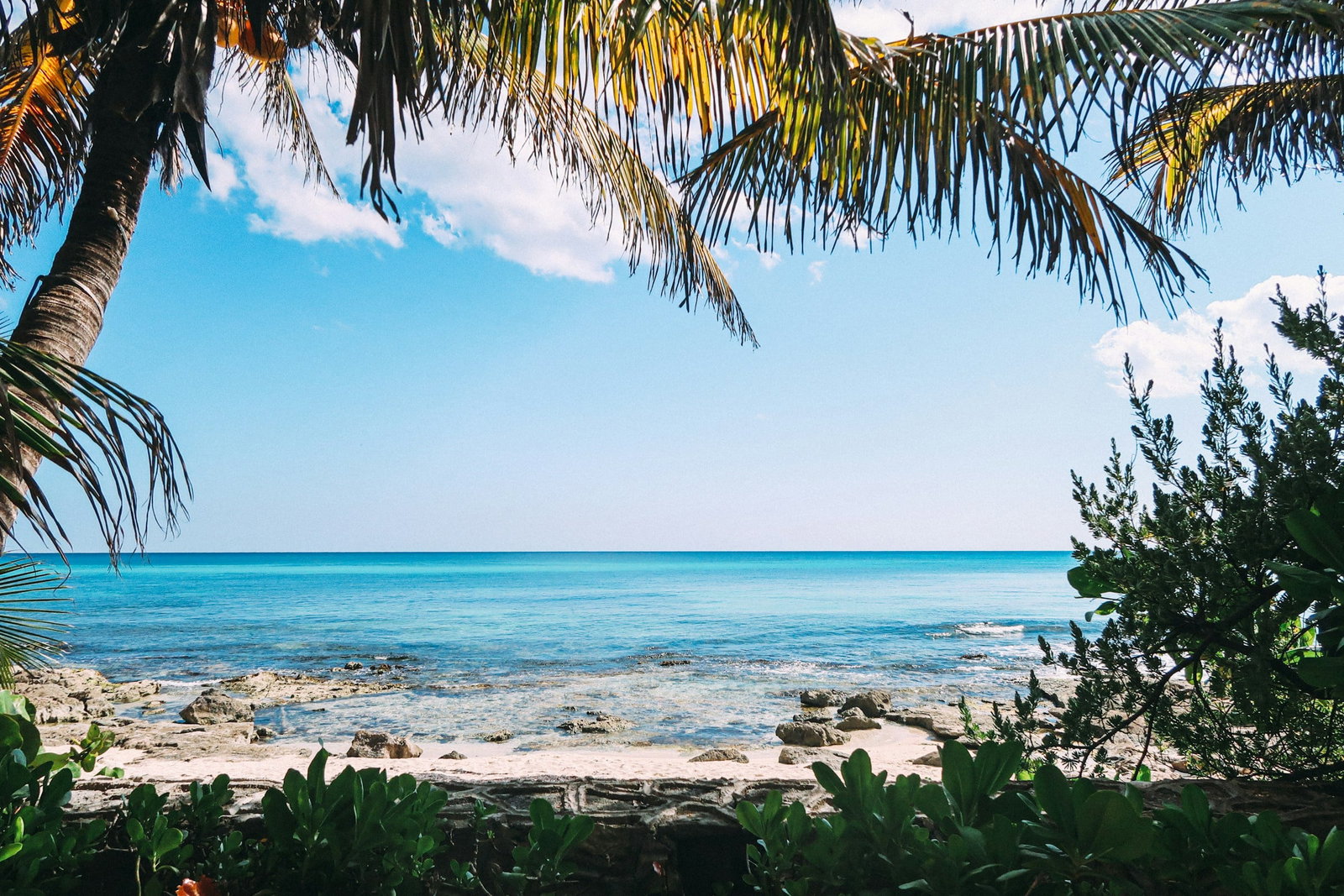 Mexico beach with palm trees and sandy beaches
