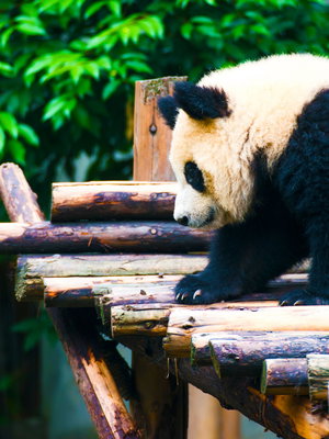 China Adventure