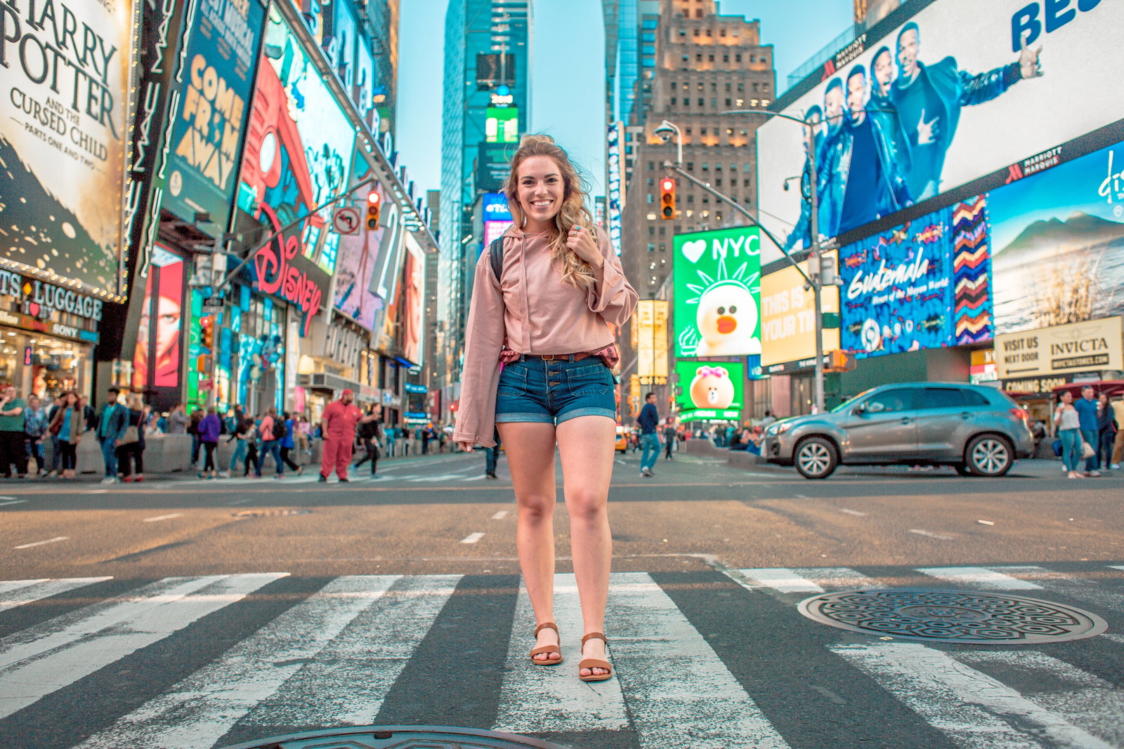 Traveller in New York, the United States