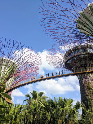 Highlights of Malaysia & Singapore
