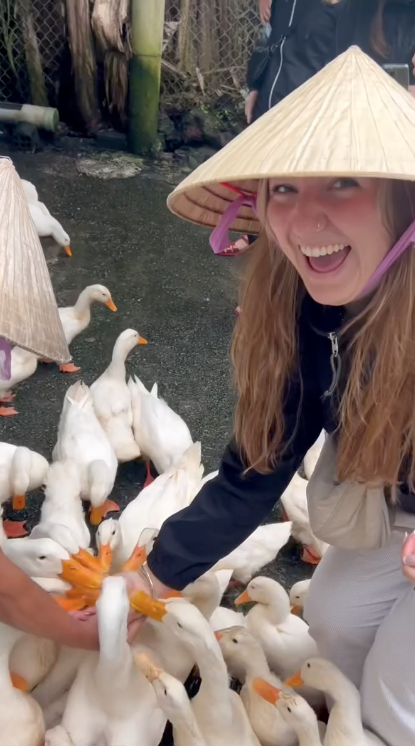 Traveller feeding ducks at Phong Nha duck farm in Vietnam