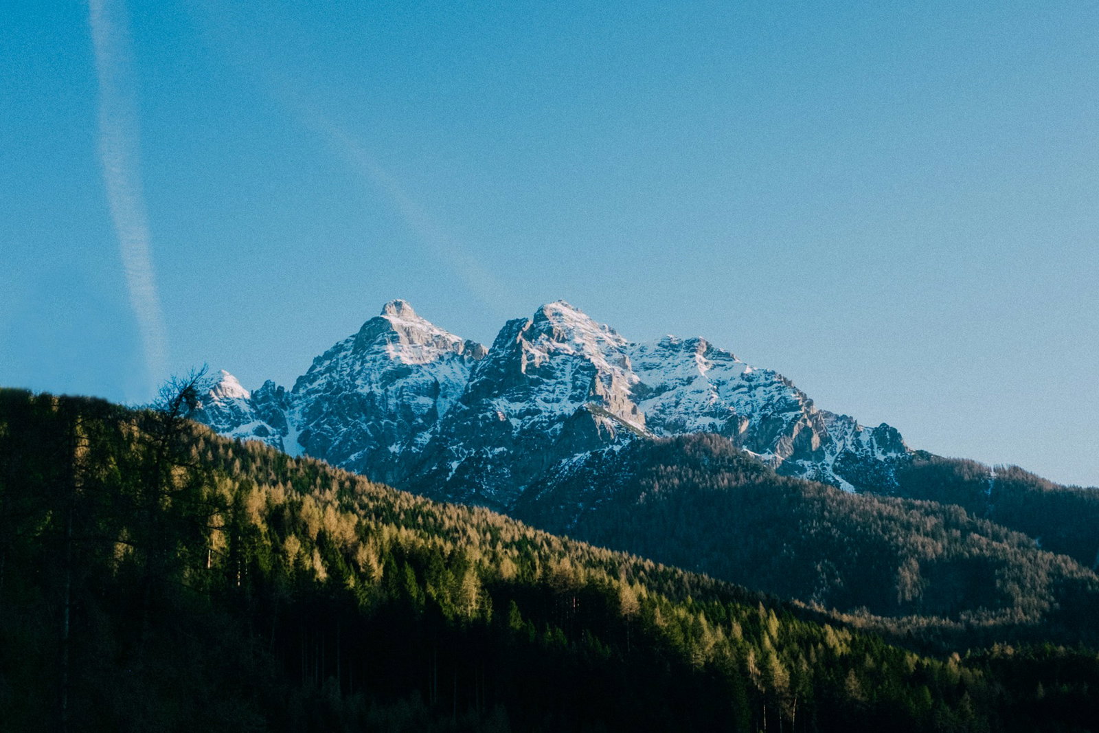Snow-capped mountains surrounded by tall forests in Austrian Alps