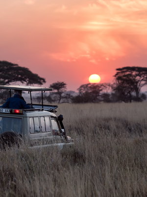 Wild Africa Adventure