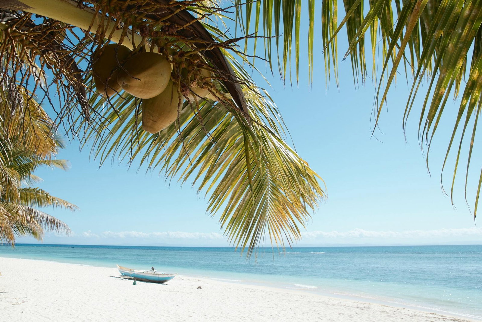 Madagascar Sandy beach with palm tree and boat