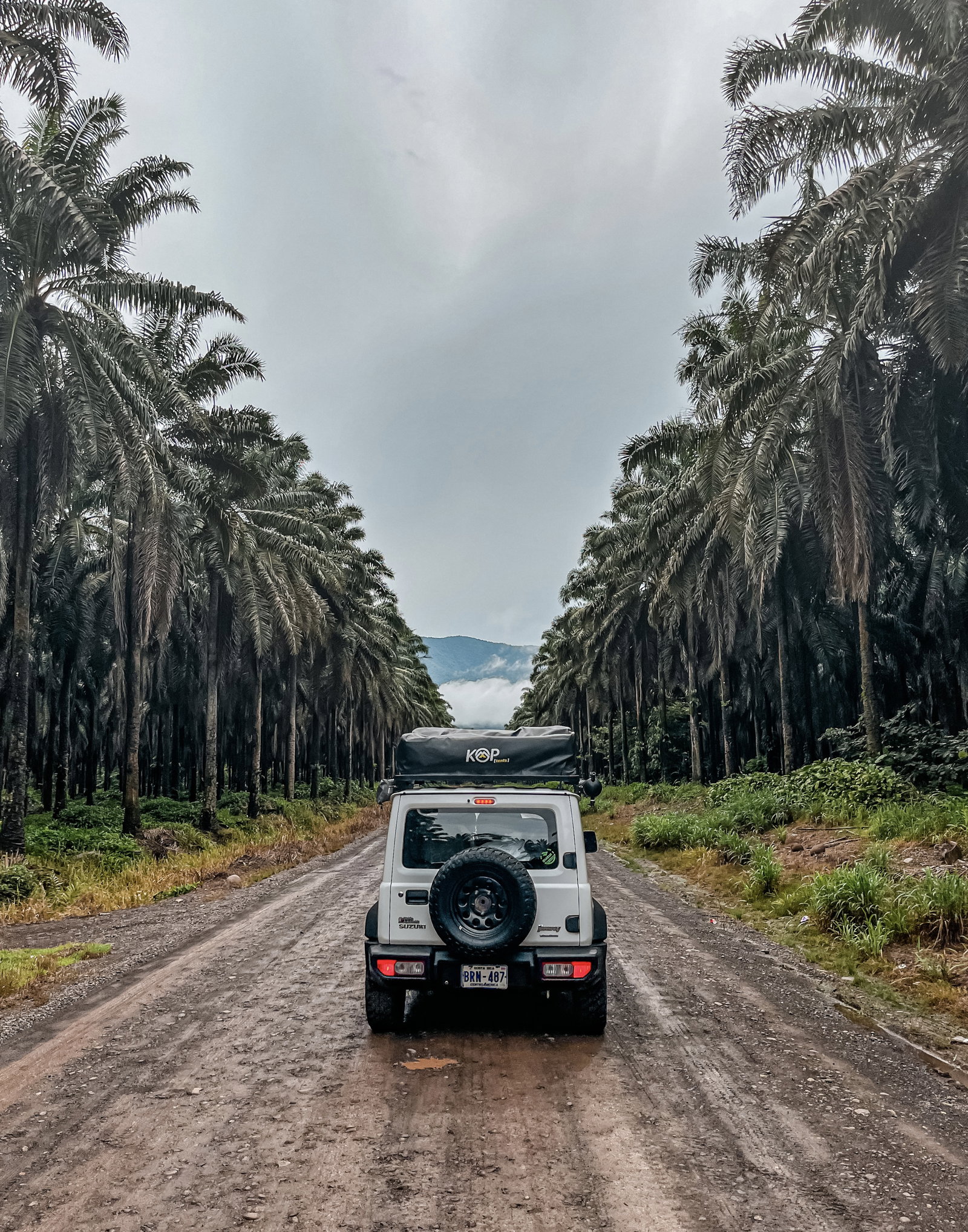 4x4 Truck in Costa Rica jungle 
