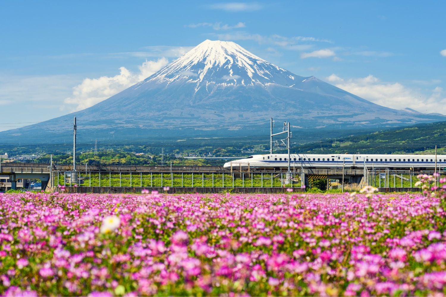 Bullet train going past a view of Mount Fuji