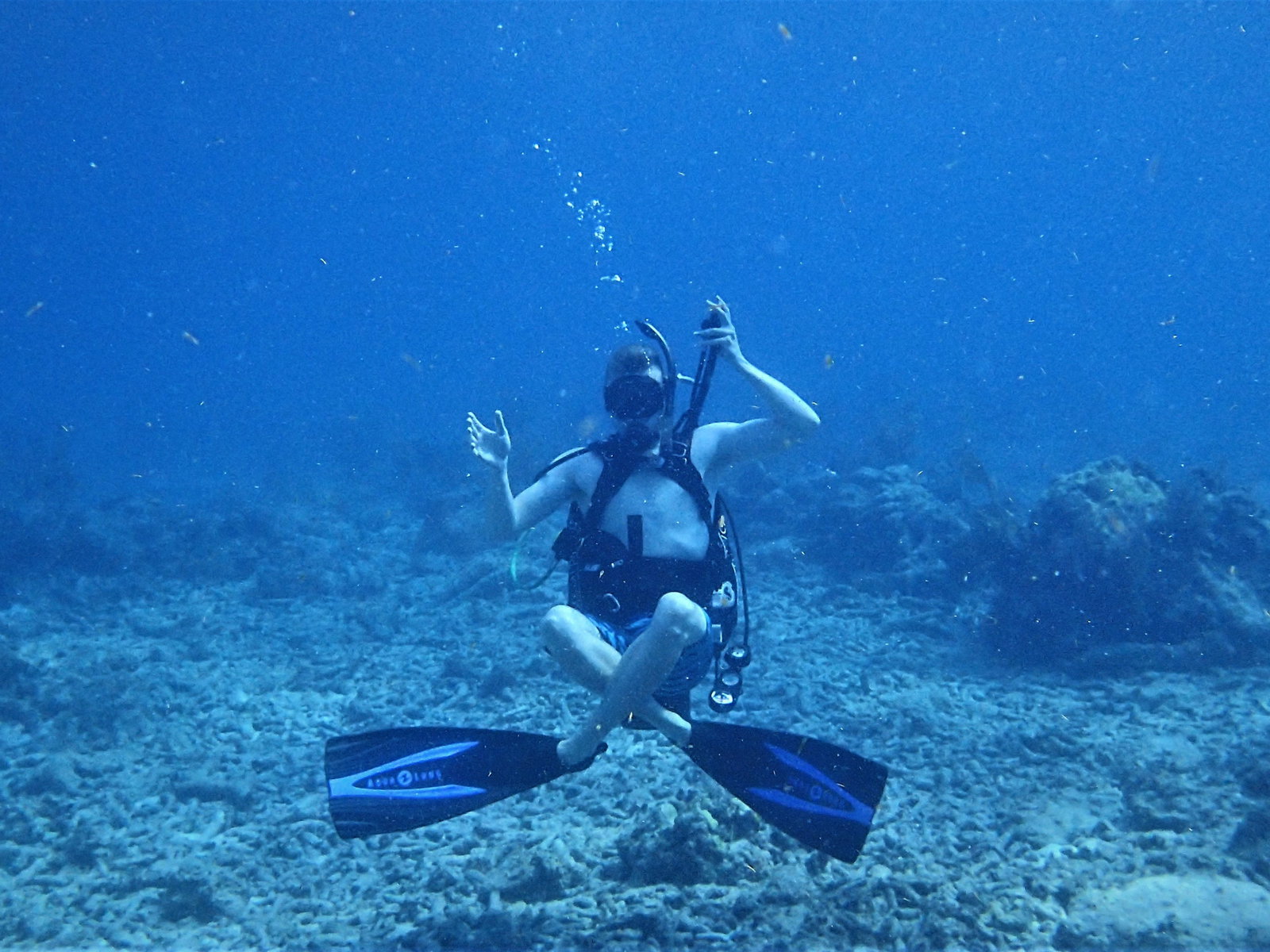Person learning to dive