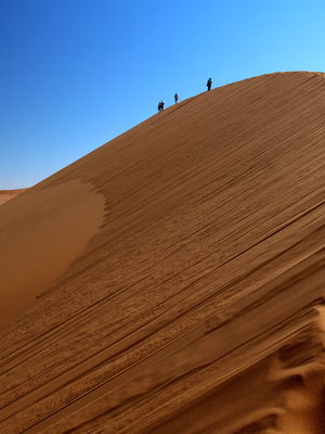 Namibia to Cape Town Discovery