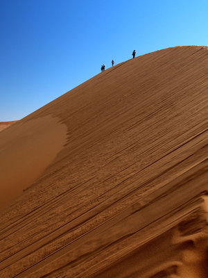 Namibia to Cape Town Discovery