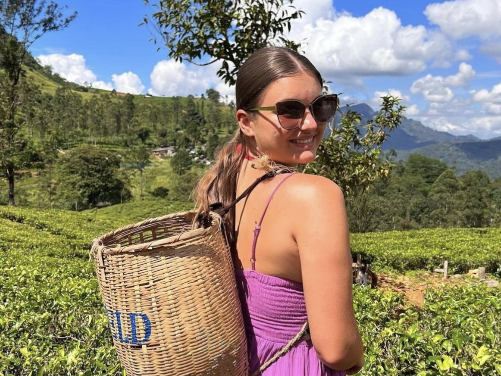 Traveller wearing basket on back in tea plantation in Sri Lanka