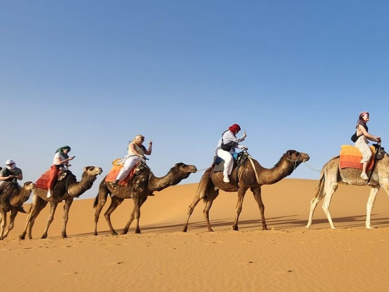 Travellers on camel ride in the Sahara Desert in Morocco
