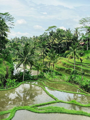 Bali