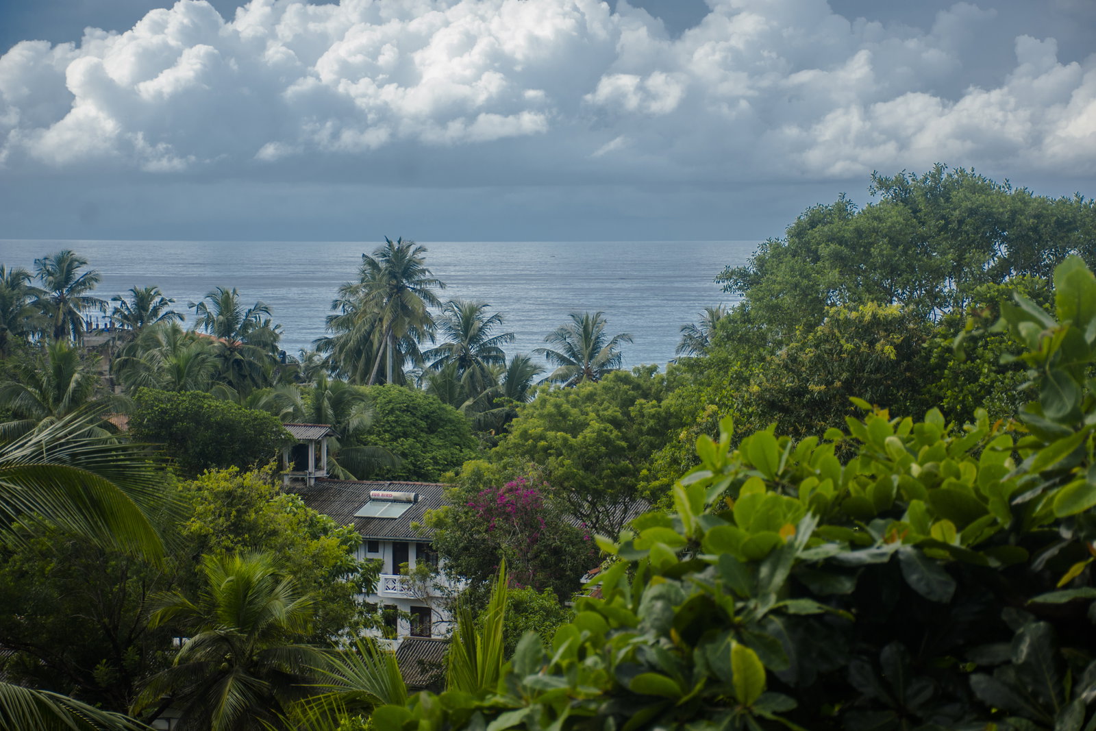 Volunteer house in Sri Lanka near beach
