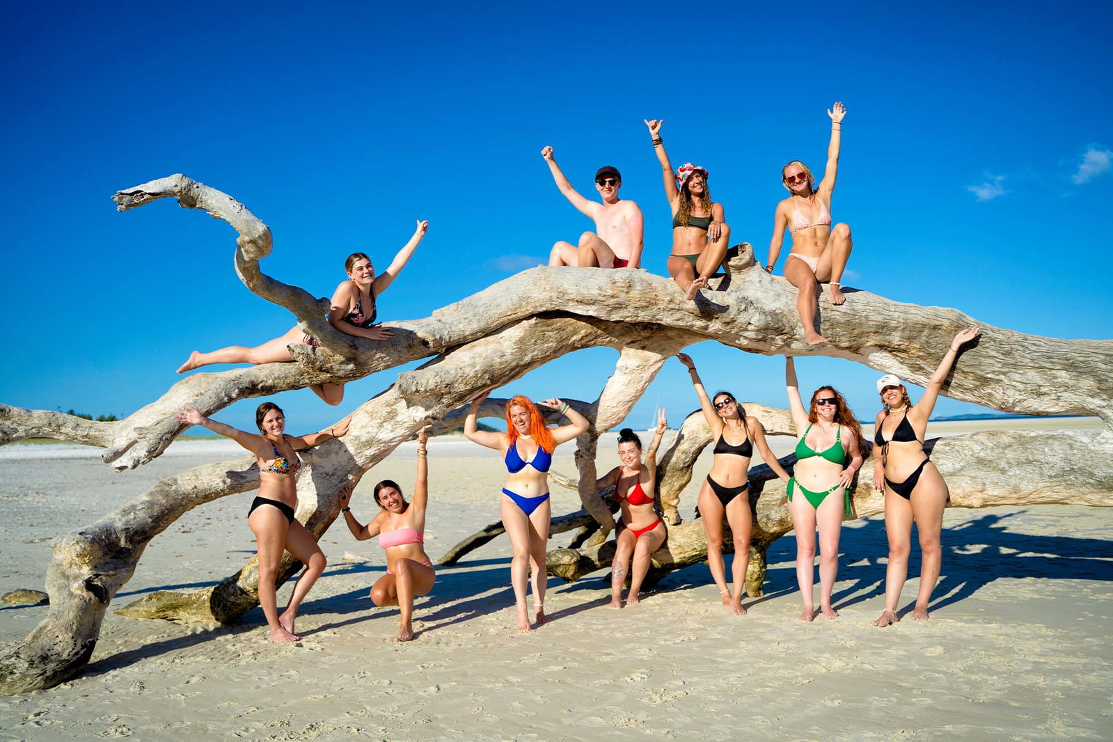 Group standing near whitsundays white haven beach log